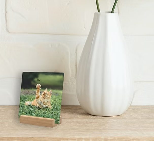 A metal desk print of an orange cat pawing at a butterfly in the grass, on its wooden stand beside a white vase