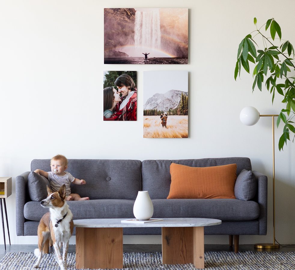 Metal Prints hung up as a gallery in a living room