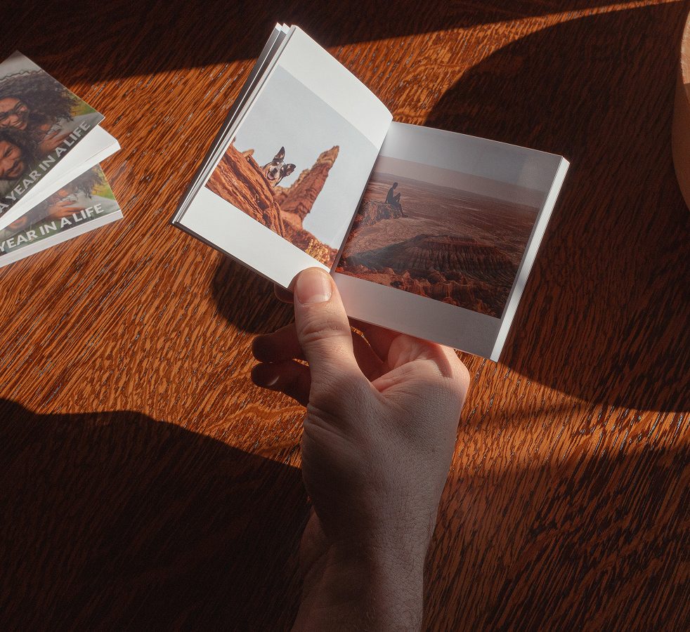 MiniBook of a dog in the desert
