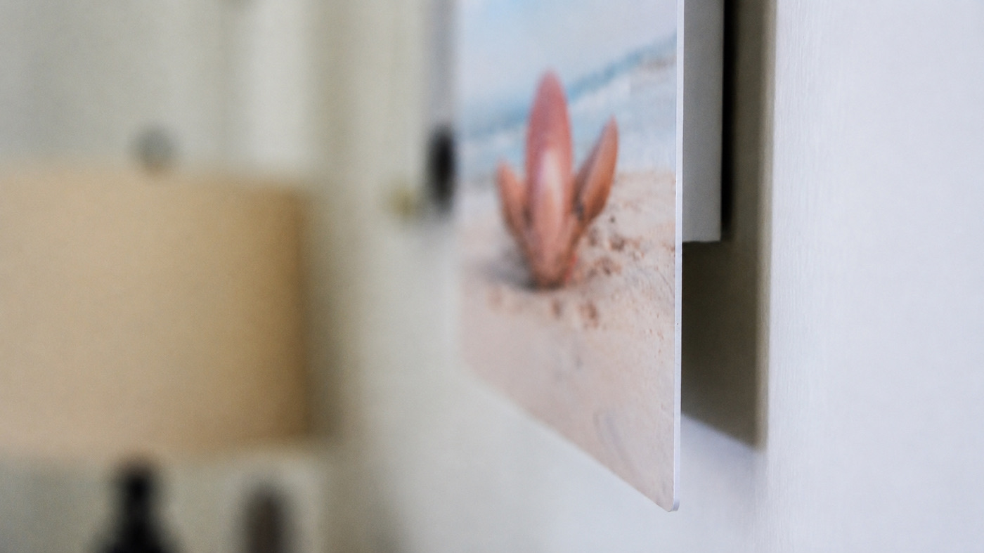 Close-up of a travel metal print of a beach floating off the wall on its recessed float mount